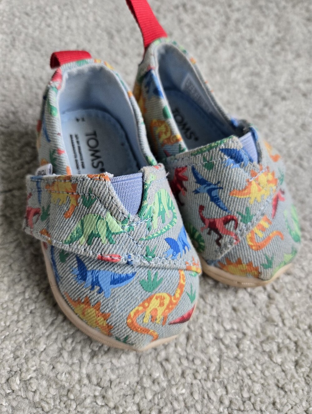 Toms Canvas Slip-On Shoes with Multicolor Dinosaur Print